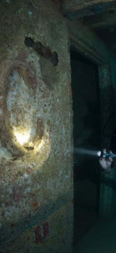 Dive Bermuda at Grotto Bay – C For Corinthian