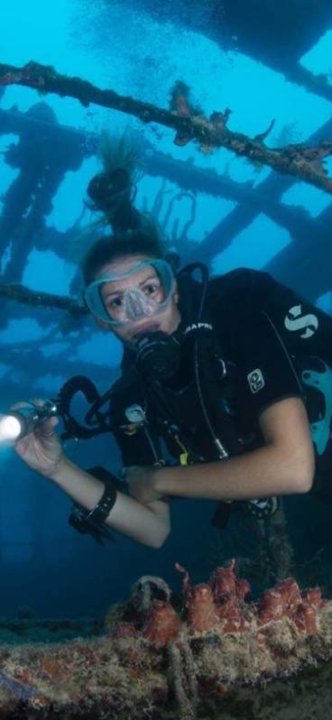 Dive Bermuda at Grotto Bay – King George