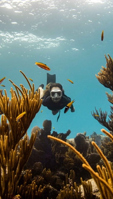 A woman is snorkelling surrounded by coral.