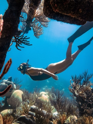 A woman snorkeling near coral