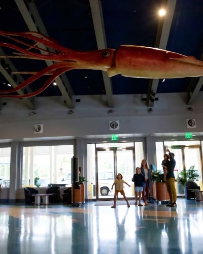 A family is looking up at a model of a giant squid.