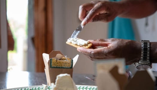 A person is spreading goat cheese on a cracker.