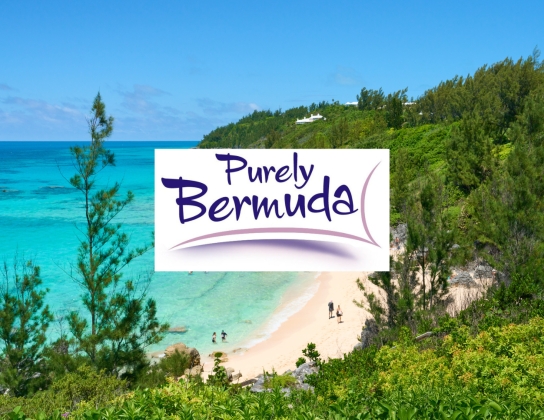 Aerial of Bermuda beach with purely bermuda logo.