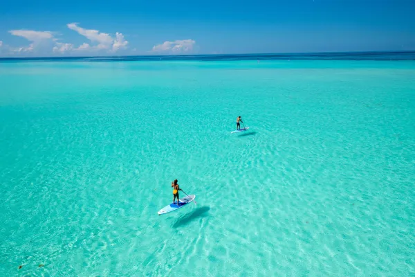 two people paddleboarding with clear waters.