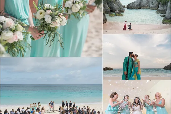 Fiander Foto – Fiander New1