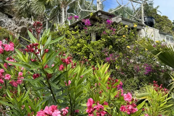 Leamington Caves – Pool Deck From Below