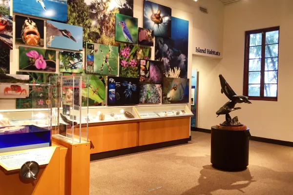 Bermuda Aquarium, Museum & Zoo (BAMZ) – Interior