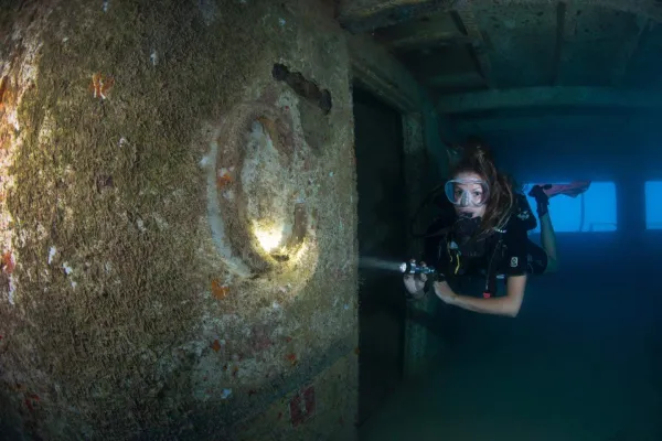 Dive Bermuda at Grotto Bay – C For Corinthian