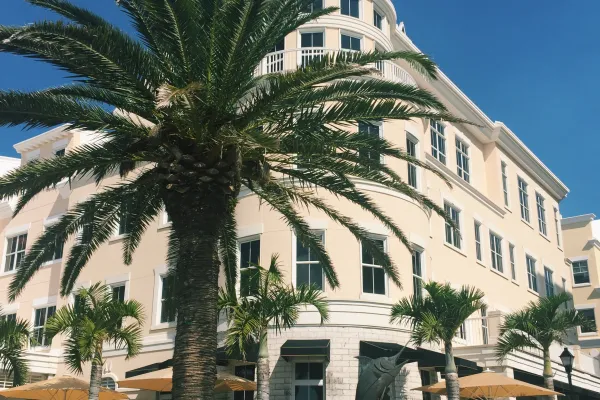 Harry's Restaurant – Palm