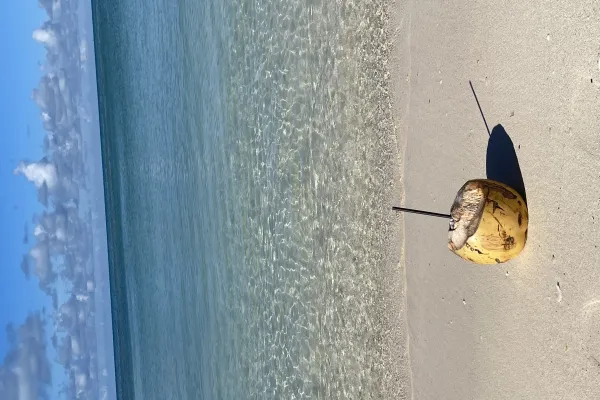 Snorkel Park Beach Club – Beach