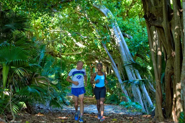 Southlands National Park – Southlands Park