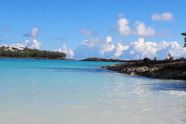 Robin's Paradise Bermuda Tours – Wading In The Water At Cooper's Island Nature Reserve
