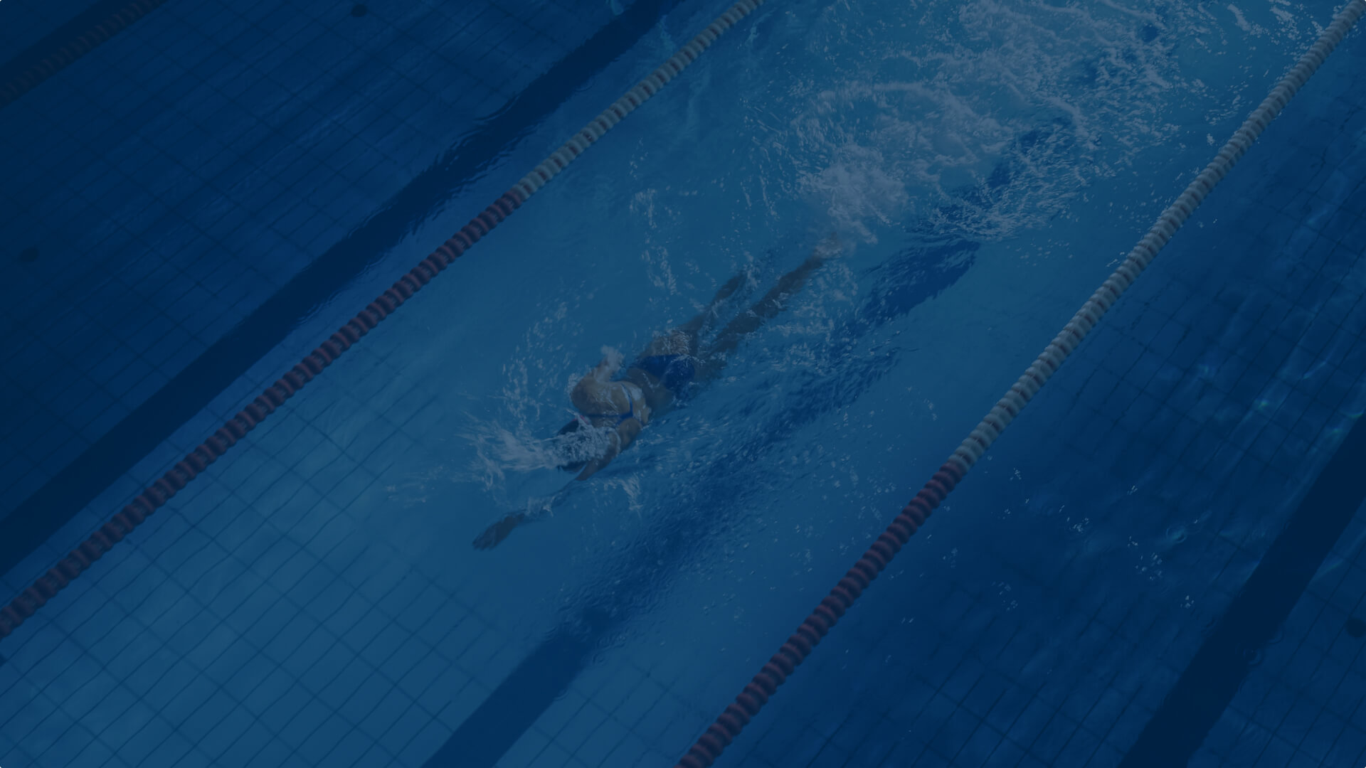 Woman swimming laps in a swimming pool
