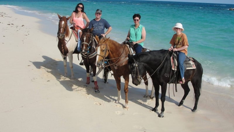 Watsons Performance & Trail Horses – Watsons Horseback Riding