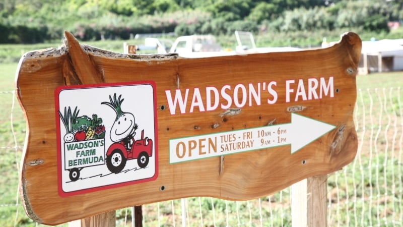 Wadson's Farm – Wadson Farms