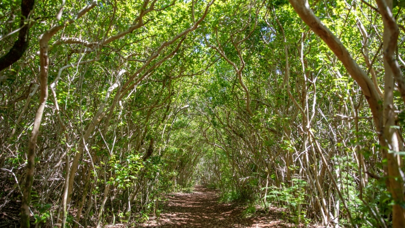 Walsingham Nature Reserve – Walsingham Nature Reserve
