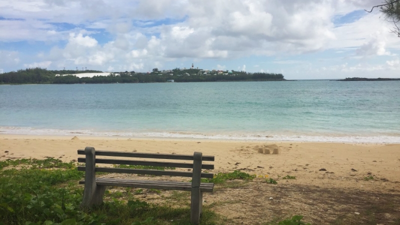 Clearwater Beach & Turtle Bay – Clearwater