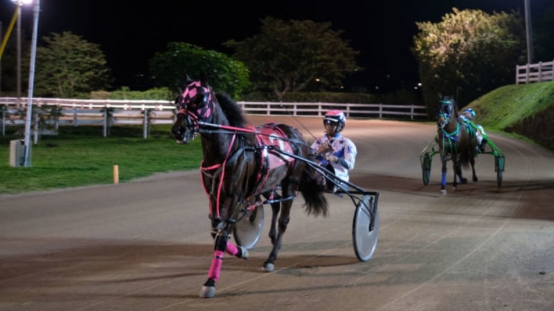 Driving Horse & Pony Club of Bermuda – Harness Pony Racing