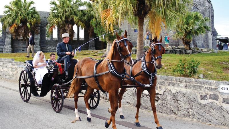 Bronco Stables Horse and Carriage Bermuda – Bronco