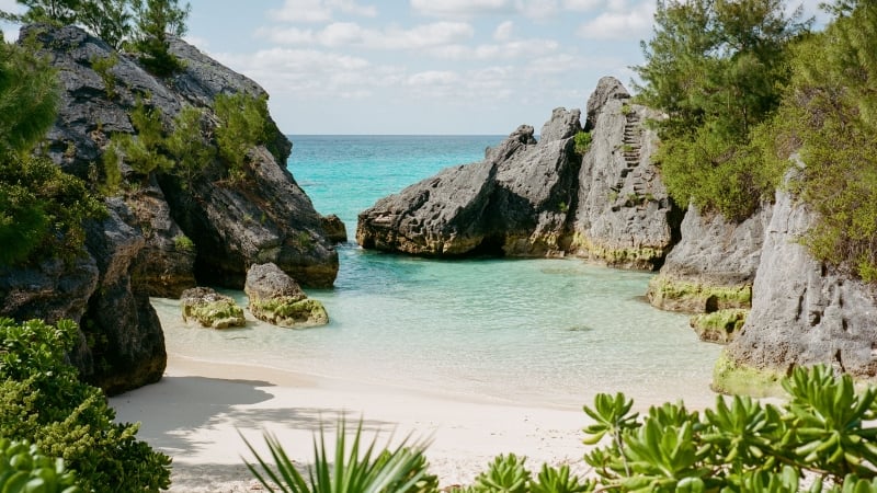 Jobson's Cove – Jobson's Cove