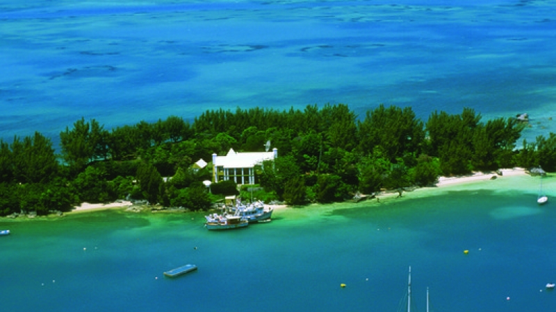 Mangrove Bay – Aerial Mangrove