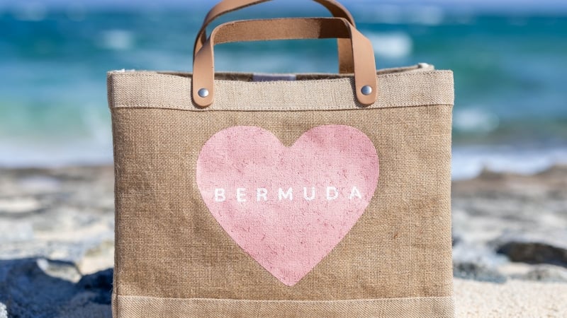 Mika + Co. – APOLIS X MIKA + CO. "I Heart Bermuda" Lunch Tote