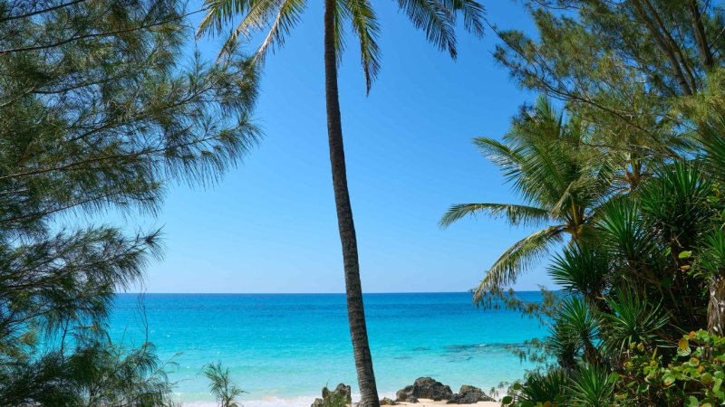 Southlands Beach – Southlands