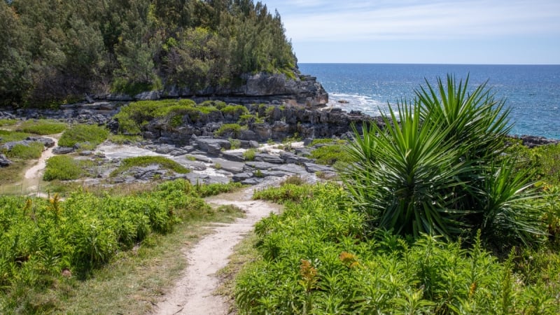 Spittal Pond Nature Reserve – Spittal Pond Trail