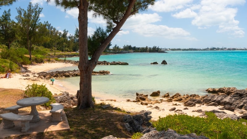Theo's Cove – Theo's Cove
