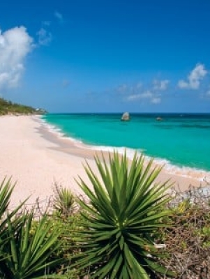 Palms along a white sand beach with turquoise waters 