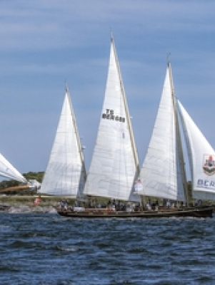 A boat under sail in the Newport Race