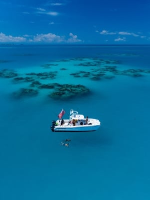 people snorkelling by the boat