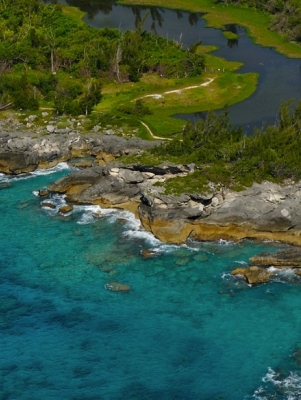 Aerial shot of pond