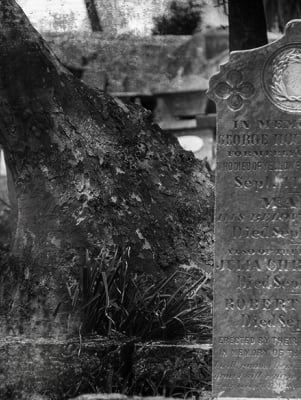 Cemetery tombstone