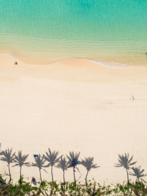 Aerial view of Bermuda beach