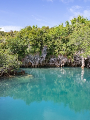 Blue Hole Park | Go To Bermuda