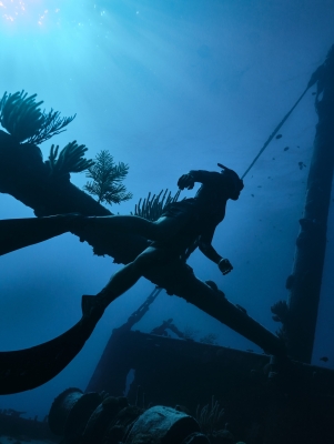 A person is diving underwater swimming next to an old shipwreck.