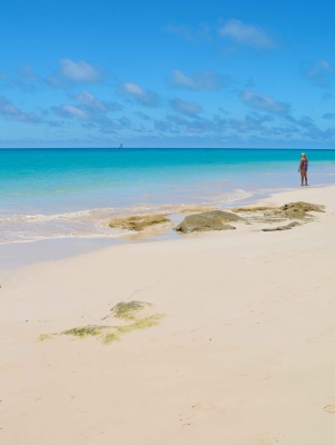 A woman is standing on a secluded beach.