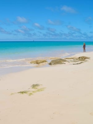 A woman is standing on a secluded beach.