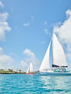 Aerial view of bermuda boats.