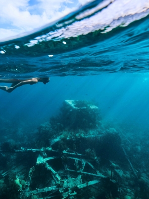 Two people are snorkelling.