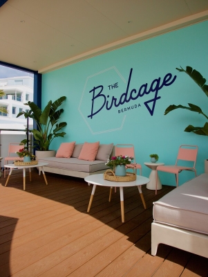 The Birdcage – The Birdcage Lounge