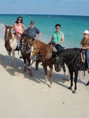Watsons Performance & Trail Horses – Watsons Horseback Riding