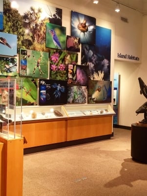 Bermuda Aquarium, Museum & Zoo (BAMZ) – Interior