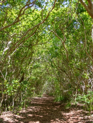 Walsingham Nature Reserve – Walsingham Nature Reserve
