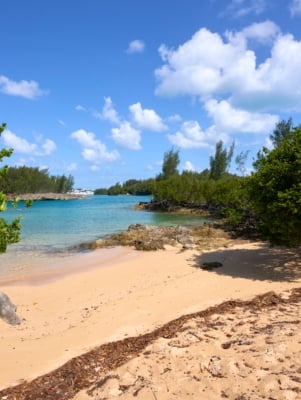 Fort Popple and Little Head Park – Fort Popple And Little Head Park