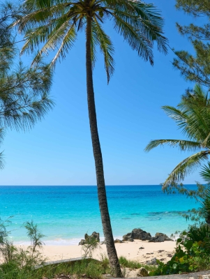 Southlands Beach – Southlands