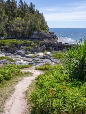 Spittal Pond Nature Reserve – Spittal Pond Trail