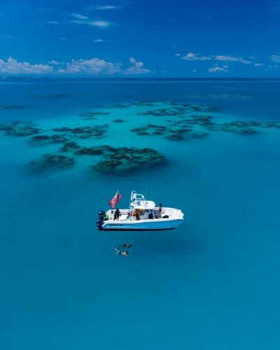 people snorkelling by the boat