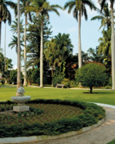 Green space with monument in the middle and palm trees in the background